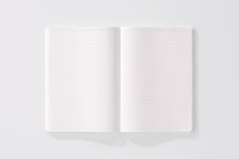 STÁLOGY 365 Days Notebook Lined Black [A5]