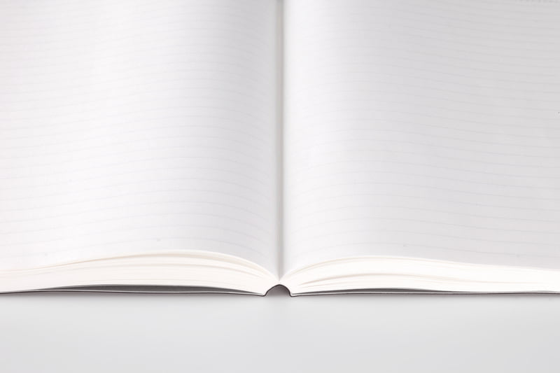 STÁLOGY 365 Days Notebook Lined Black [A5]