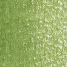 Holbein Artist Colored Pencil - Moss Green OP290