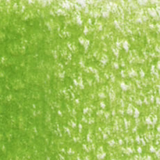 Holbein Artist Colored Pencil - Leaf Green OP291