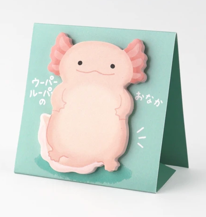 Minnismiðar með lími - Axolotl