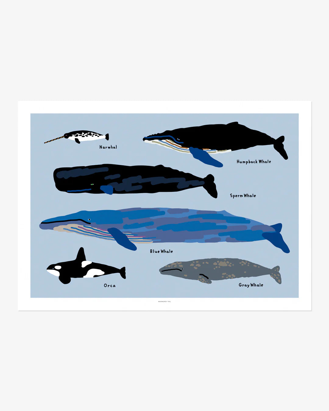 Warmgrey tail plakat - WHALES [300x400mm]