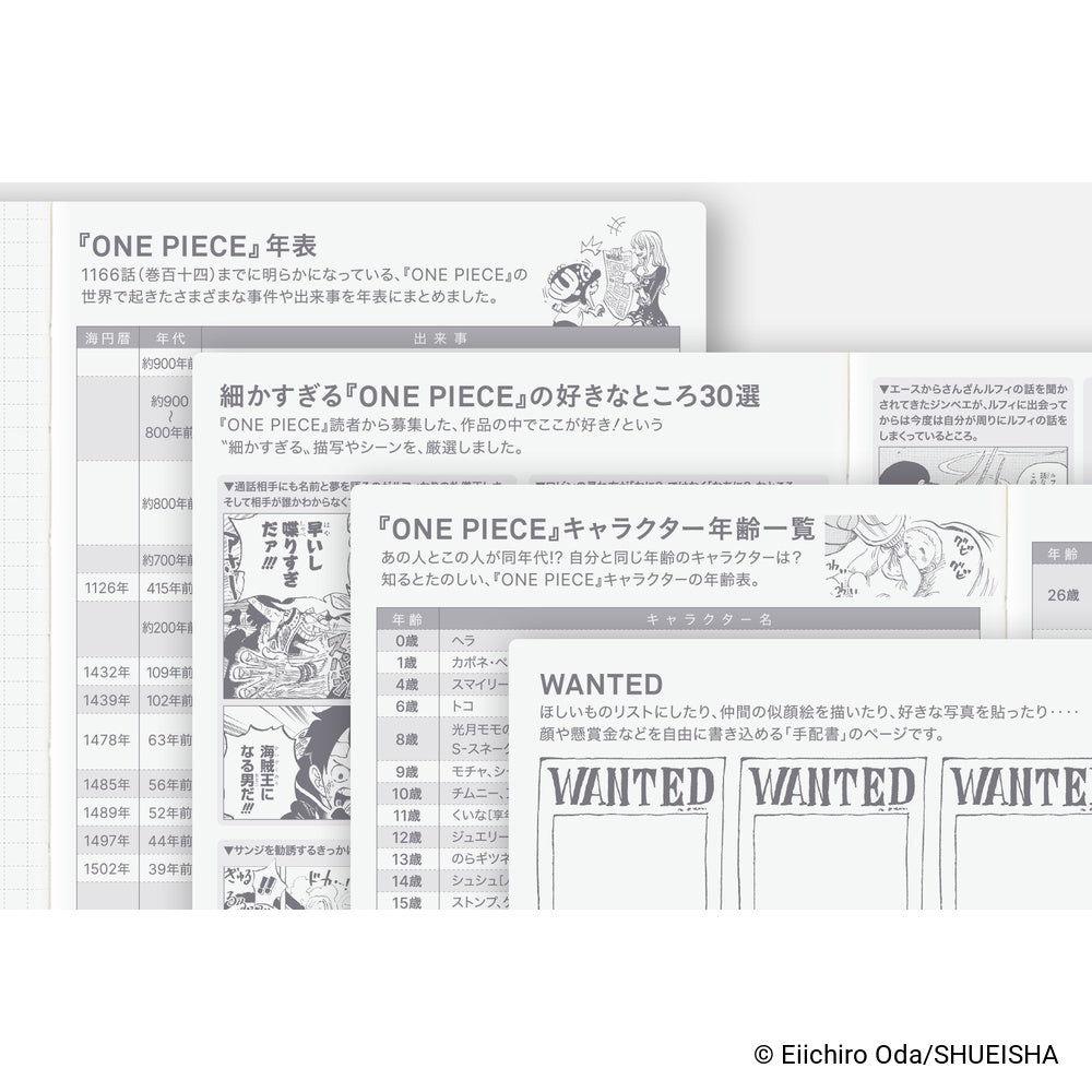ONE PIECE magazine: Very Very Merry! [JPN/A6/Jan Start] HON