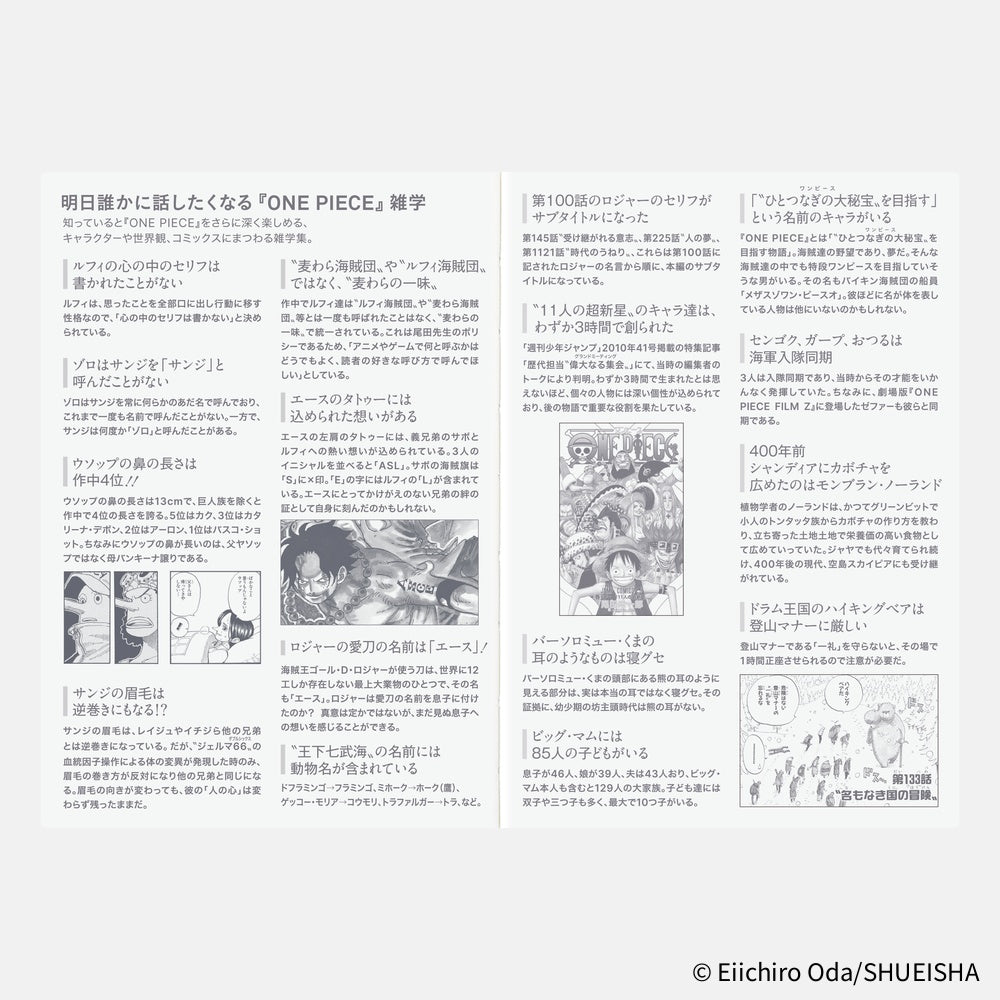 2026 Japanese Original Book - One Piece Edition [A6/Jan Start/Mon Start]