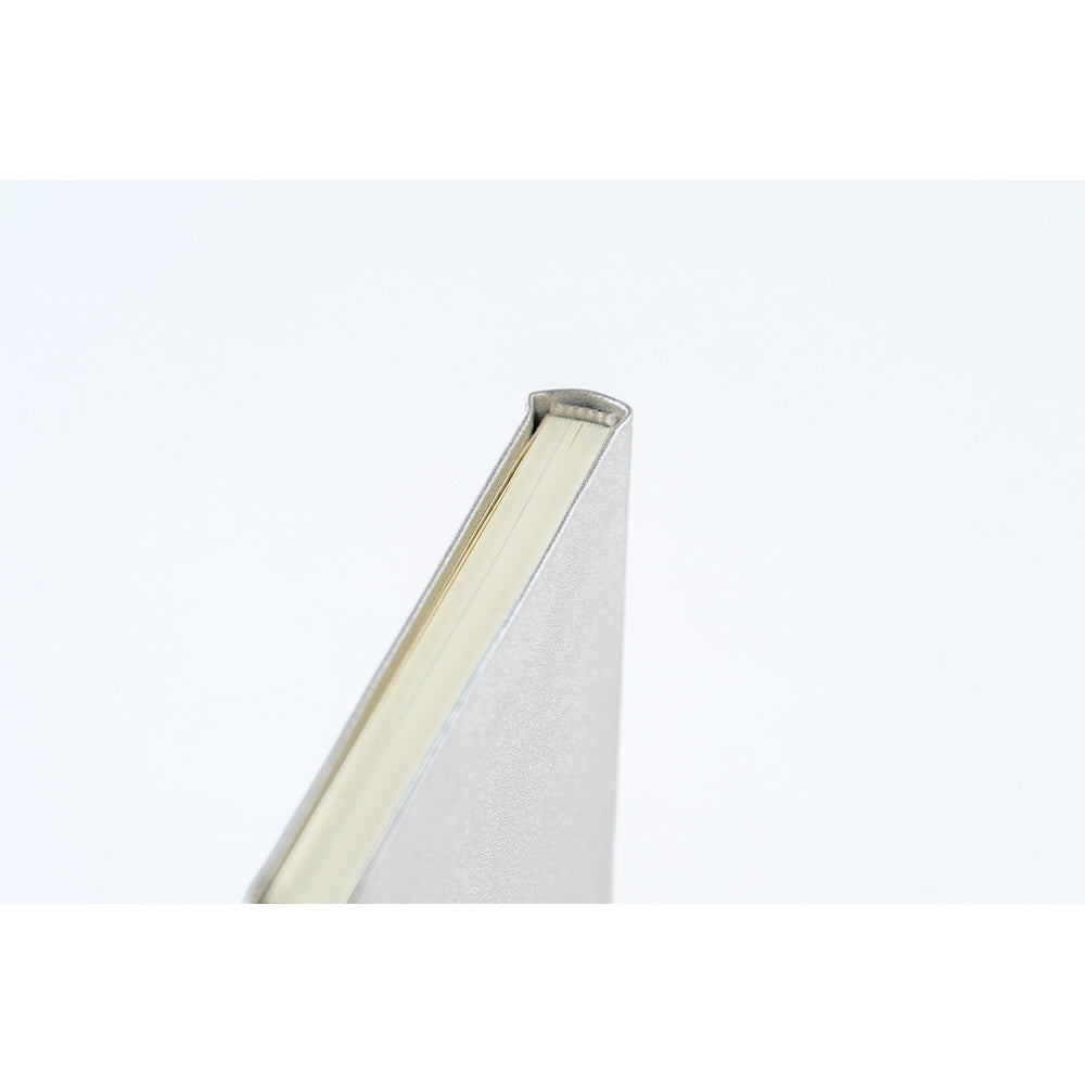 Leather: Noble Silver [ENG/Tall & Slim/Jan Start]