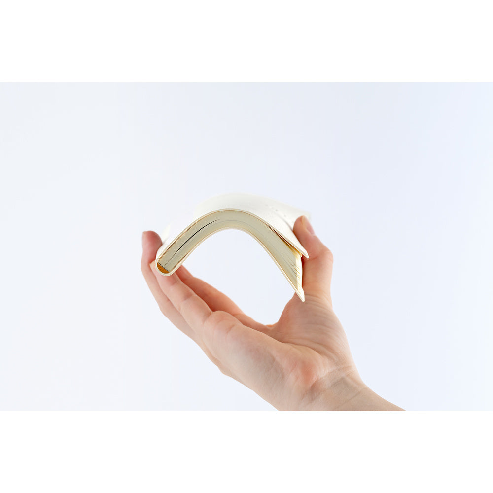 White Line: Ivory [ENG/Tall & Slim/Jan Start]