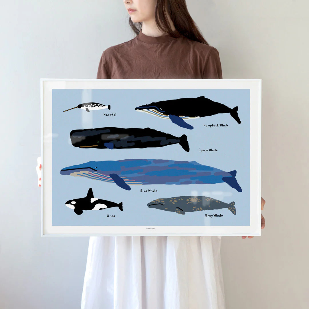 Warmgrey tail plakat - WHALES [500x700]