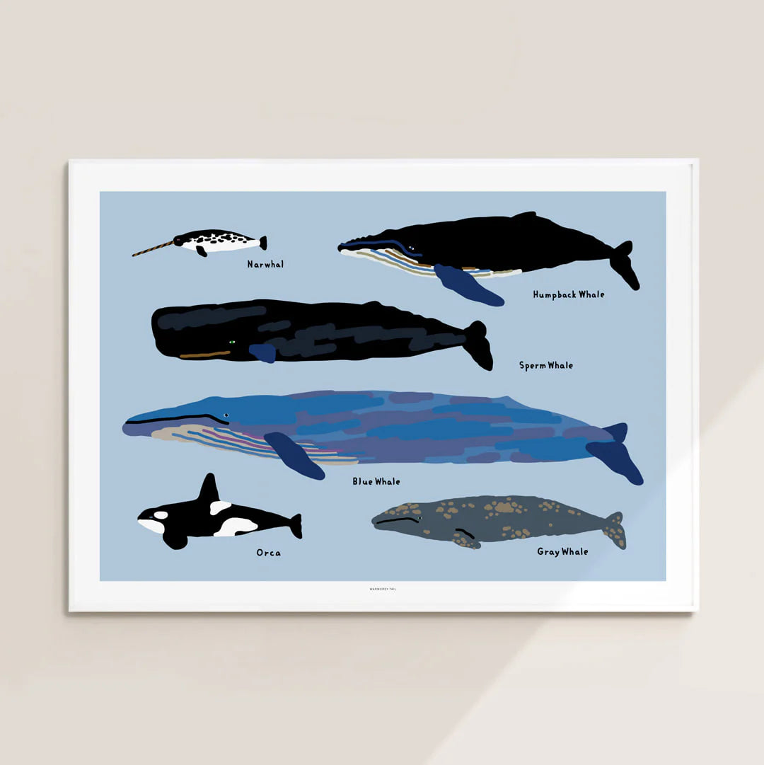 Warmgrey tail plakat - WHALES [300x400mm]